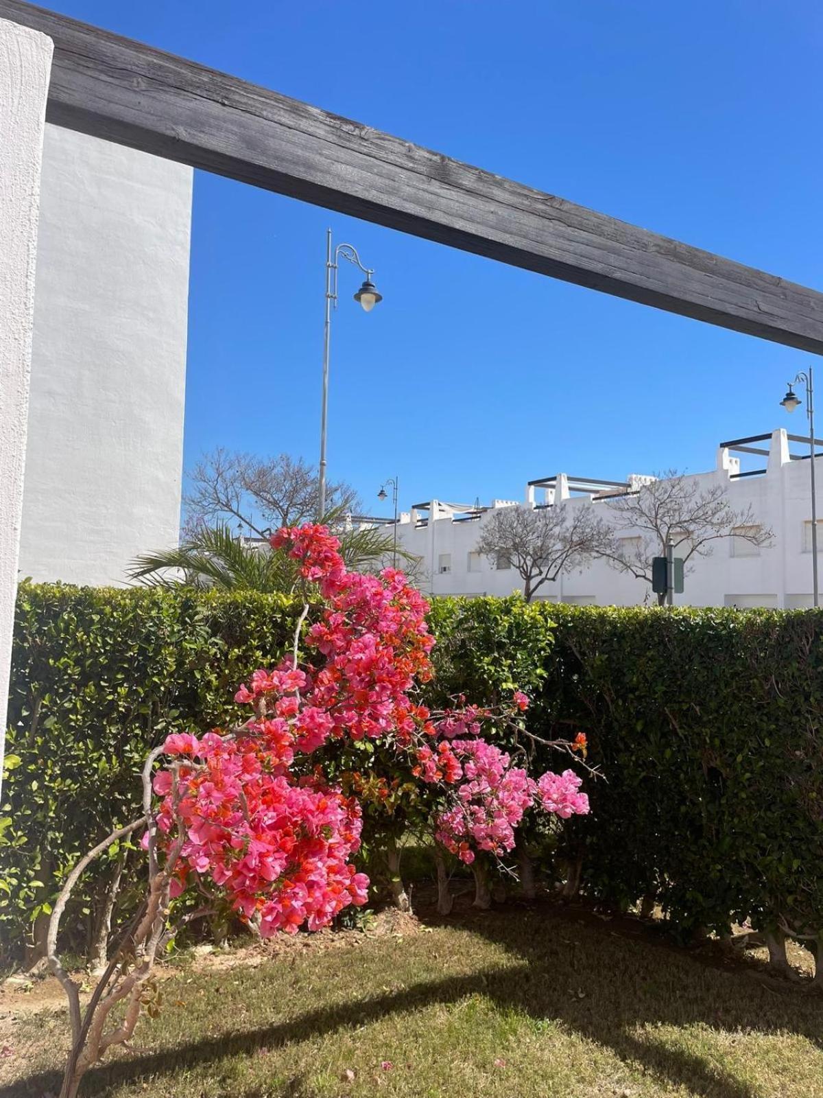Casa Luisa Jardin 10 Condado De Alhama Apartment อาลามา เด มูร์เซีย ภายนอก รูปภาพ